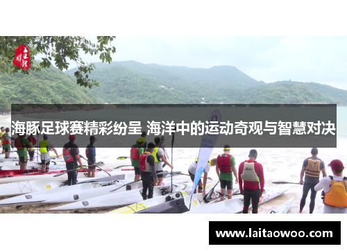 海豚足球赛精彩纷呈 海洋中的运动奇观与智慧对决
