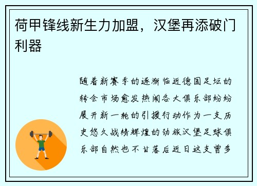 荷甲锋线新生力加盟，汉堡再添破门利器